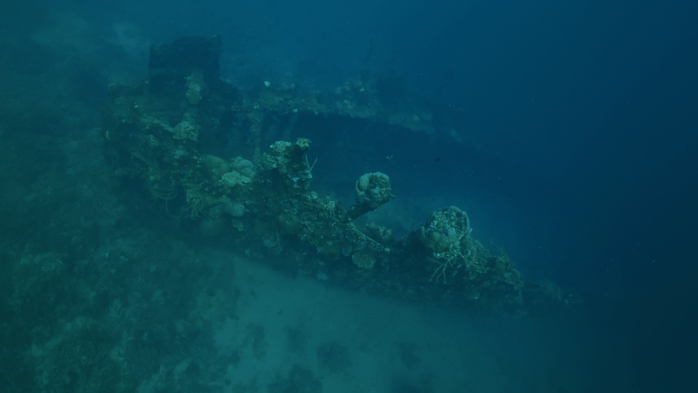 shipwreck 1 shipwreck 1